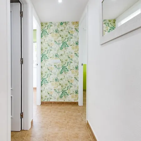 Palm-beach 또레비에하