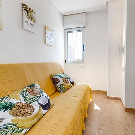 Palm-beach 또레비에하