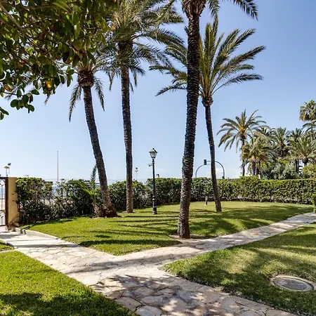 Palm-beach شقة تورّيفيِخا